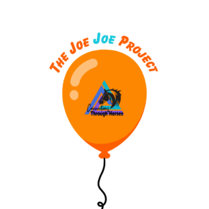 The Joe Joe Project logo